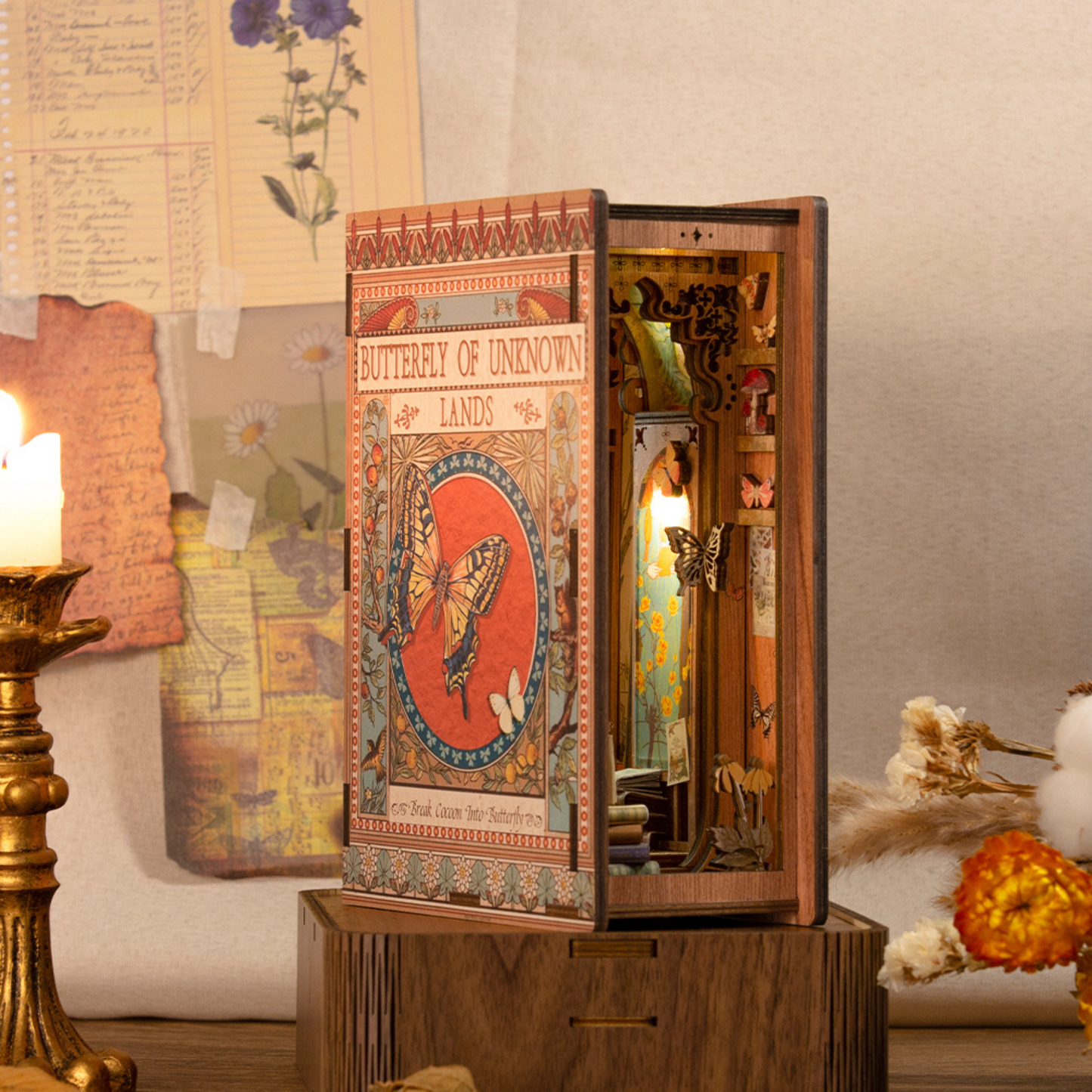 Book nook - Butterfly of the Unknown Land